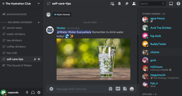 Server-Nickname-Member-List-Edit-Server-Profile-demo.gif