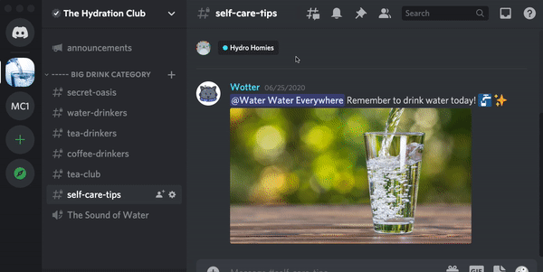 Discord on Make a GIF