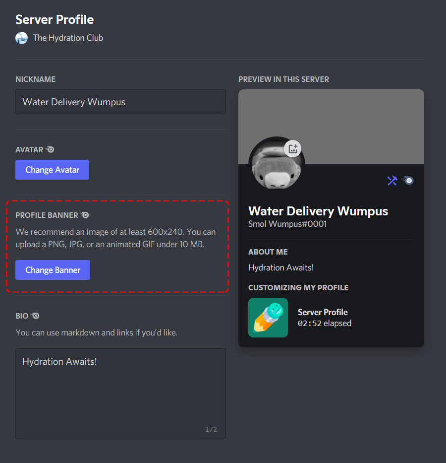 Server-profile-change-server-profile-banner-button.png