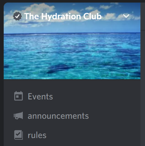 discord rules banner