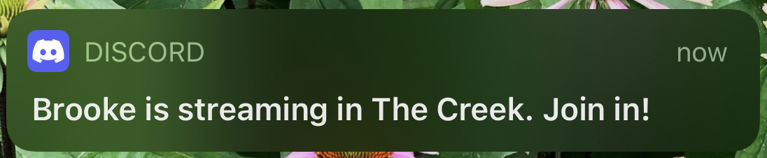 notif.jpg