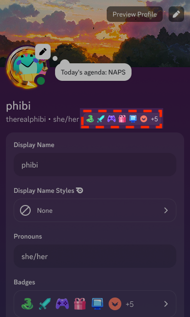 Example of the Display Slots on a Profile