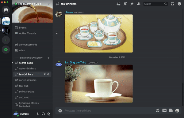 Setting Up Discord Notifications