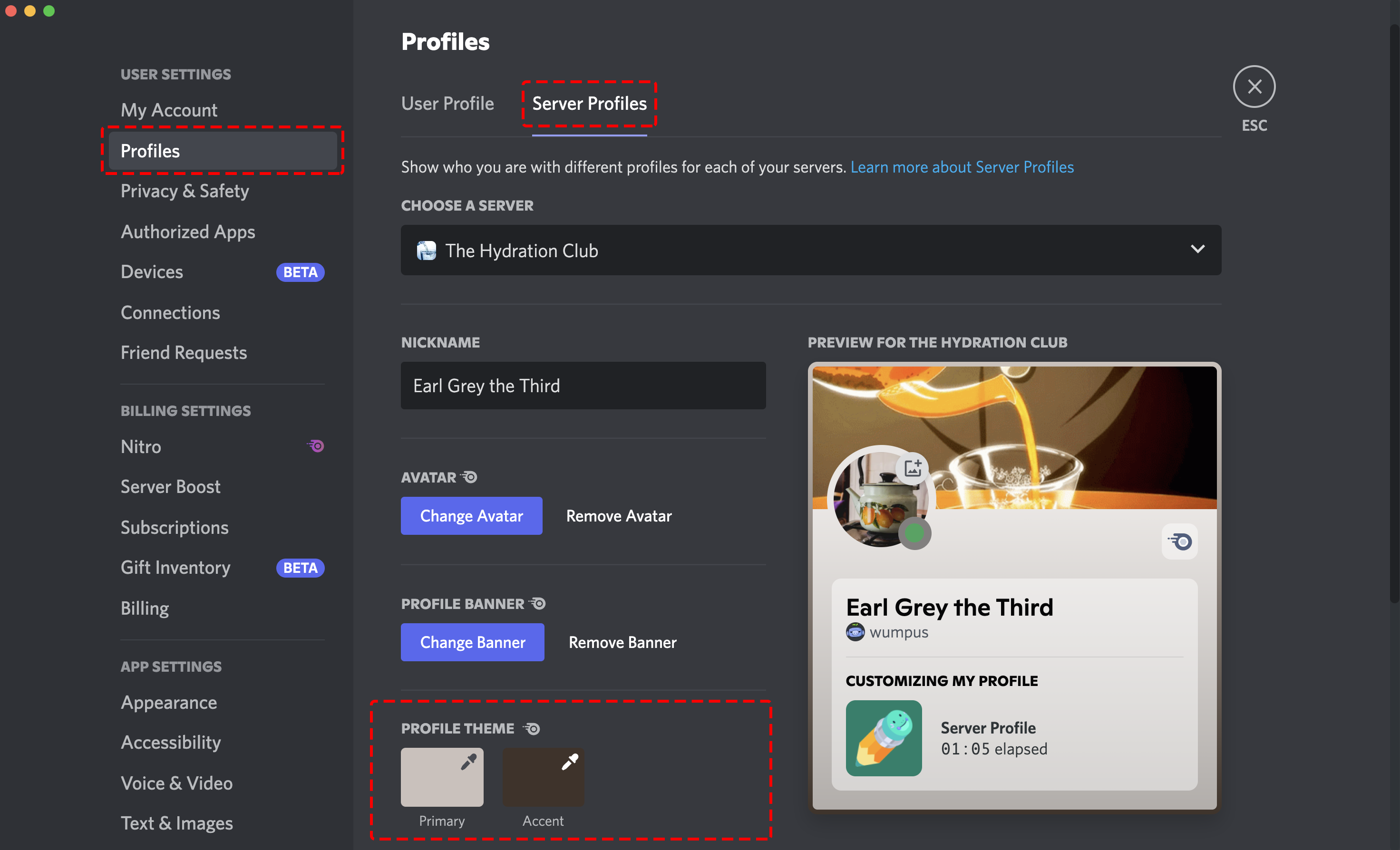 Server Profiles – Discord