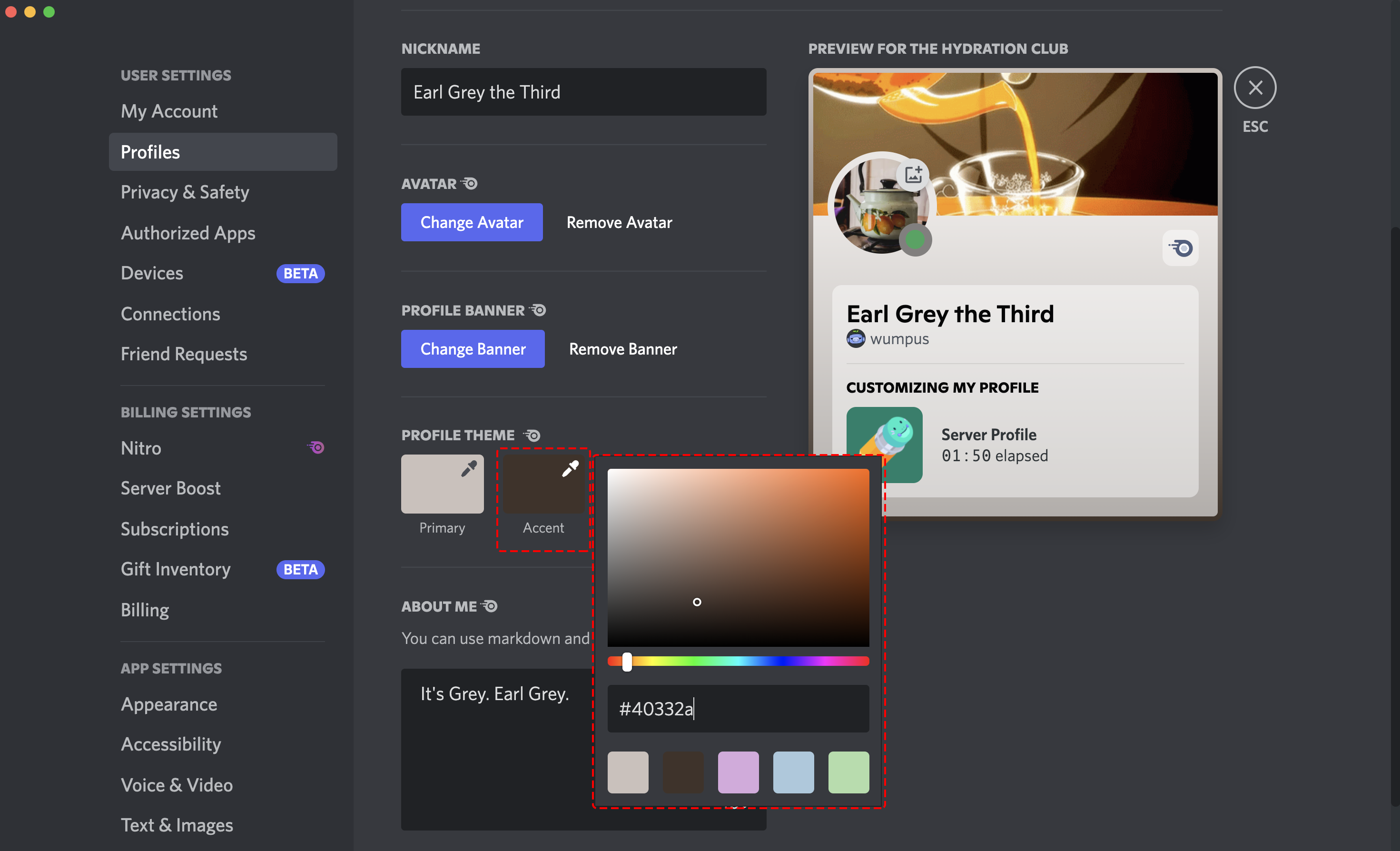 Server Profiles Discord