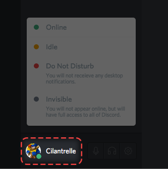オンラインステータスの変更 Discord